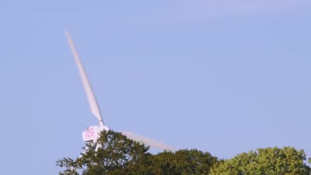 Een Fantastisch Deel Van Een Vondst Boerderij Dook Boven Bomen — Stockvideo