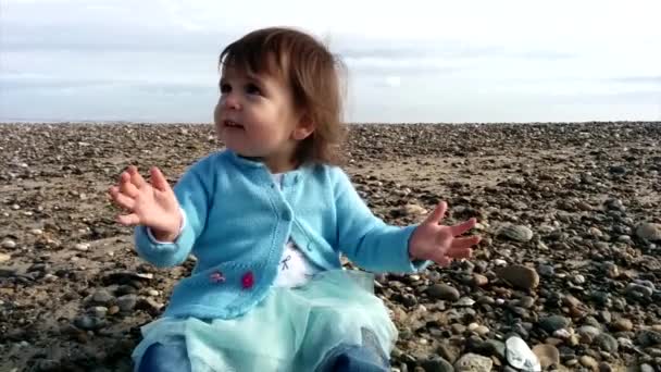 Ett Gammal Baby Klädd Blå Kläder Leker Med Stenar Stranden — Stockvideo