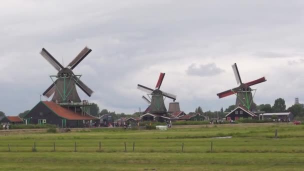 Вітряні Млини Зансе Schans Нідерланди — стокове відео