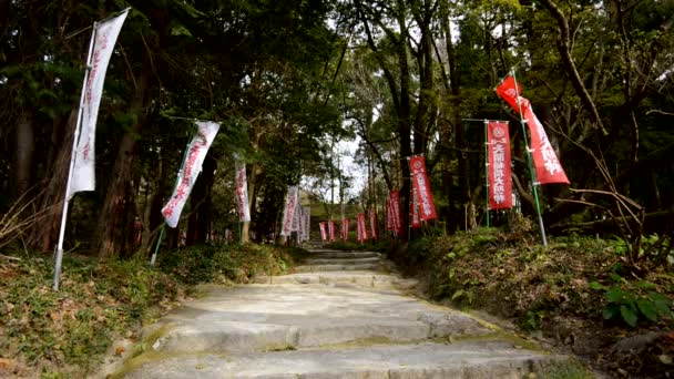 Baner Kanji Nich Pochlebiający Wietrze Kamiennej Ścieżce Lesie — Wideo stockowe