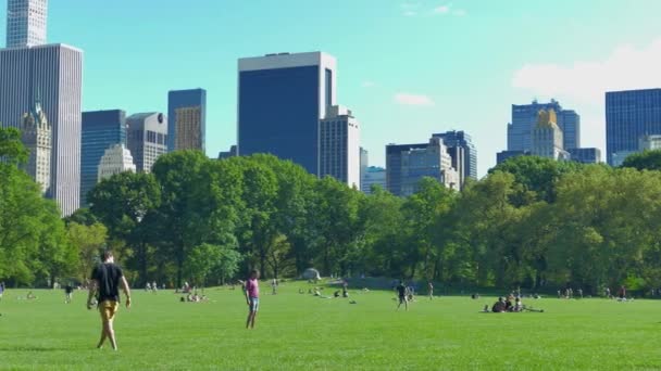 Uhd 25P New Yor City Central Park Schafwiese Menschen Spielen — Stockvideo