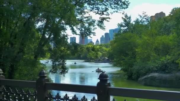 Uhd 25P New Yor City Central Park Oak Bridge Schöne — Stockvideo