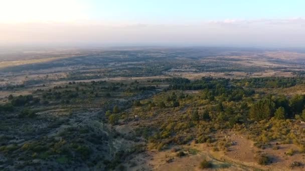 Volando Sobre Pequeño Valle Con Árboles — Vídeo de stock