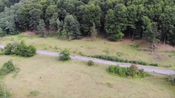 Bir Köy Yolunda Geçen Bir Araba — Stok video