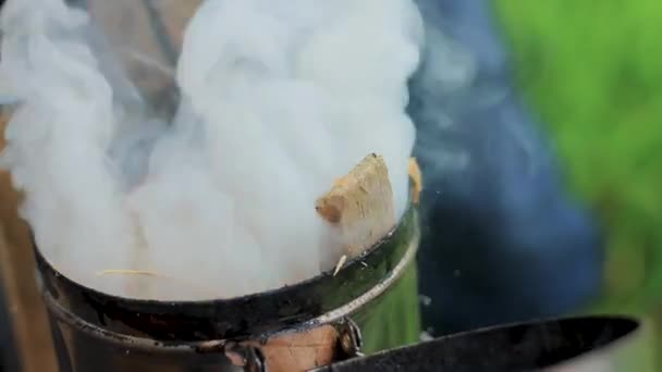 Beekeper Meggyújtott Egy Méhfüstölőt — Stock videók
