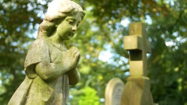 Scatto Verso Basso Della Statua Del Cimitero — Video Stock