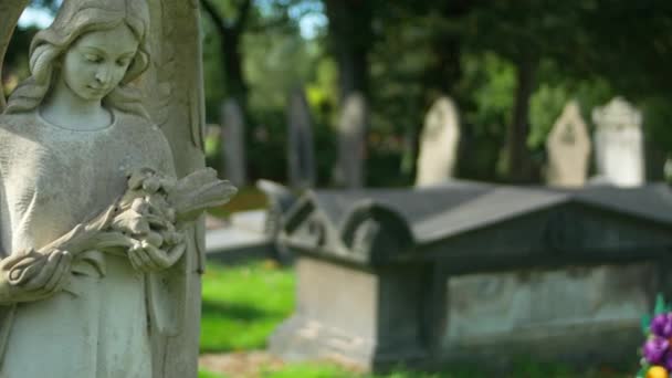 天使の墓地像のパンニングショット — ストック動画