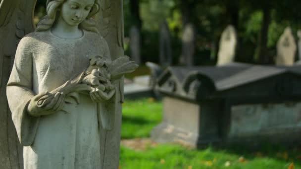Aufwärtsschuss Der Friedhofsstatue Engel — Stockvideo