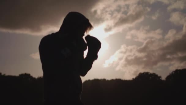Закройте Снимок Человека Боксирующего Парке Медленном Движении — стоковое видео