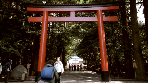 Japanse Vrouw Maakt Foto Van Een Andere Vrouw Die Voor — Stockvideo