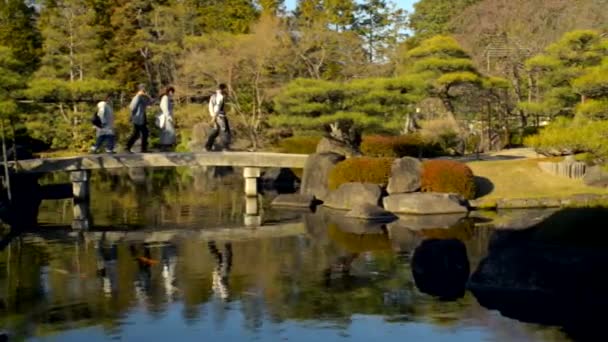 Besucher Gehen Über Eine Steinerne Brücke Japanischen Garten Neben Der — Stockvideo