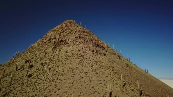 Flygdrönare Skjuten Över Kaktusberget Avslöjar Den Vita Salar Saltöken Uyuni — Stockvideo