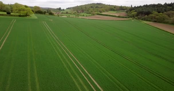 Drone Vliegt Groen Veld Heuvel — Stockvideo