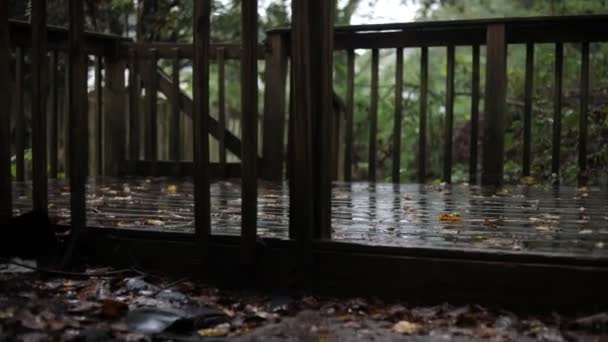Sebuah Teras Kayu Basah Teras Pada Hari Hujan — Stok Video