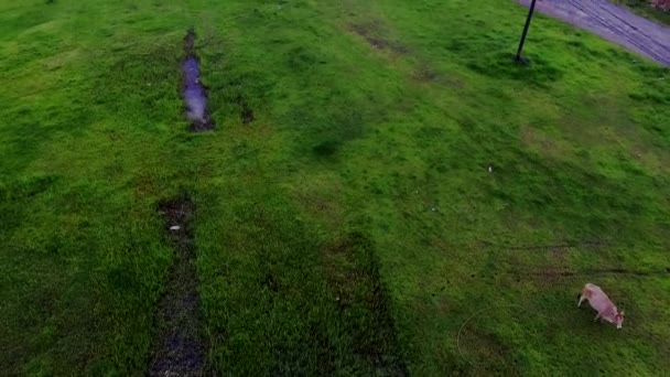 Fotografia Aérea Uma Cidade Costeira Ásia — Vídeo de Stock