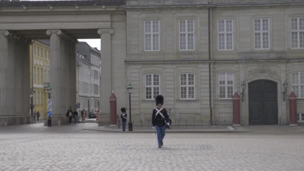 Охранник Идет Камере Копенгагене — стоковое видео