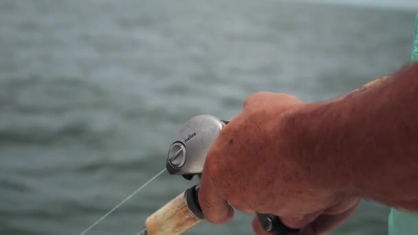 Łowienie Ryb Łodzi Wielkich Jeziorach Jezioro Erie — Wideo stockowe