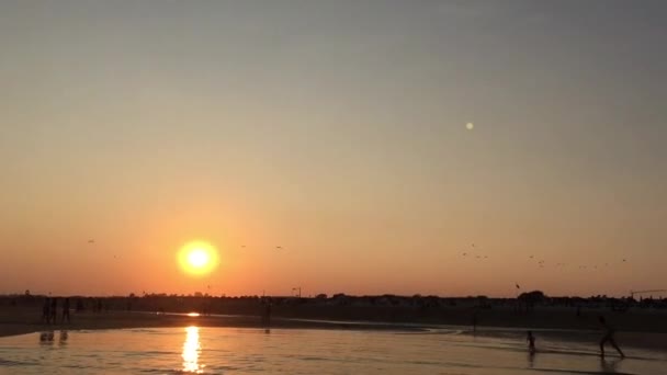 Sunset ชายหาด — วีดีโอสต็อก