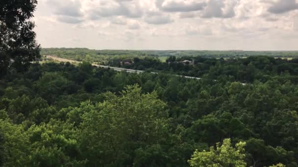 Верхівки Дерев Седалії Міссурі — стокове відео