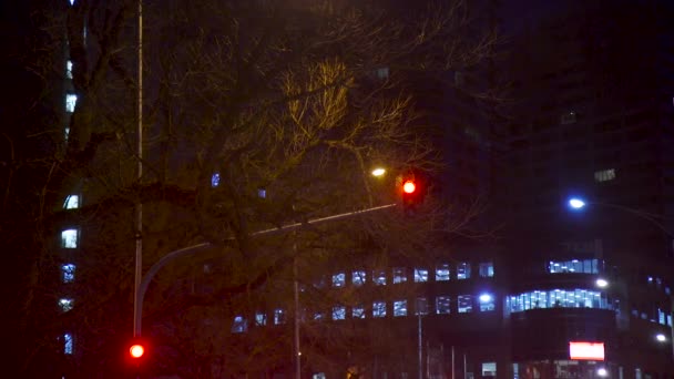 C100Mkii Gece Görüntüsü Trafik Işığı Kırmızıdan Yeşile Döner Işığın Önünde — Stok video