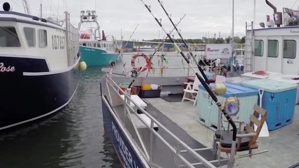 Torneo Pesca Atún Durante Día — Vídeo de stock