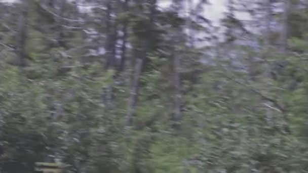 Adembenemende Beelden Uit Alaska Van Gletsjers Tot Karts — Stockvideo