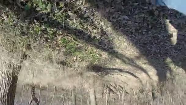 Randonnée Dans Les Images Nebraska — Video