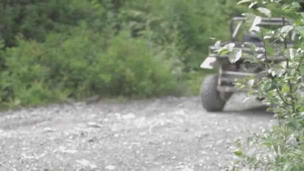 Some Breathtaking Footage Alaska Everything Glaciers Karts Enjoy — Stock Video