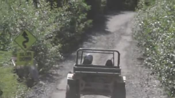 Algunas Imágenes Impresionantes Alaska Todo Desde Glaciares Hasta Karts Disfruta — Vídeo de stock