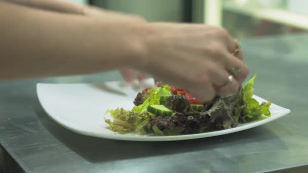 Jovem Cozinha Restaurante Está Colocando Salada Queijo Prato Jantar — Vídeo de Stock