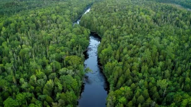 Aerial Shot Piscataquis River Barrel Falls — Stock Video