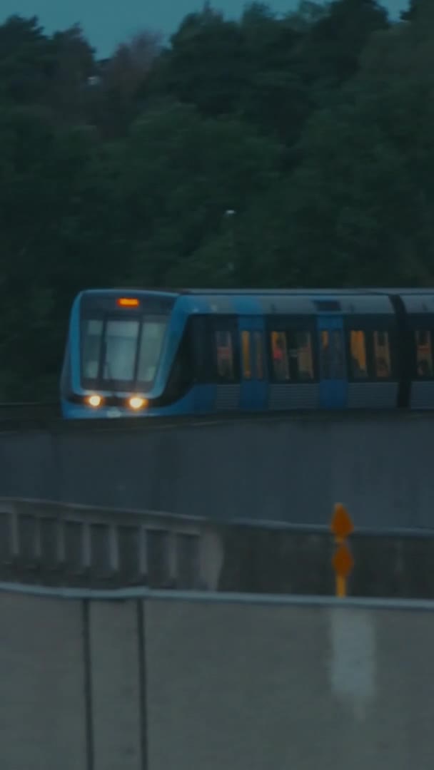 瑞典斯德哥尔摩地铁到达火车站的一个左翼喘息镜头 缓慢的运动 Vertical — 图库视频影像