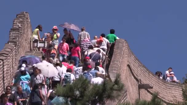 Touristes Sur Grande Muraille Mur Chine Chine — Video