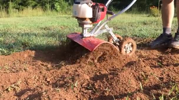 Mann Läuft Mit Gartenfräse Hinterhofgarten — Stockvideo