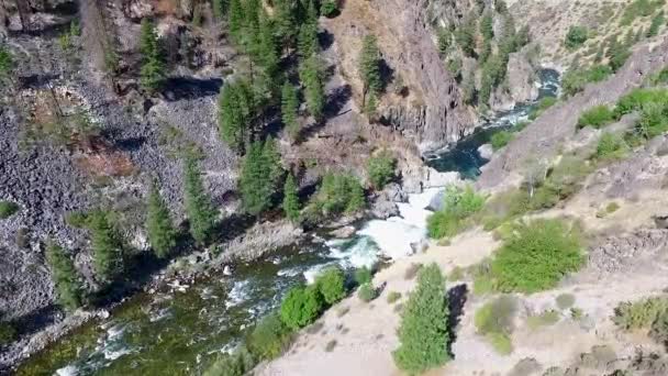 Luftaufnahme Eines Flusses Mit Wildwasser Stromschnellen Und Menschen Die Mit — Stockvideo