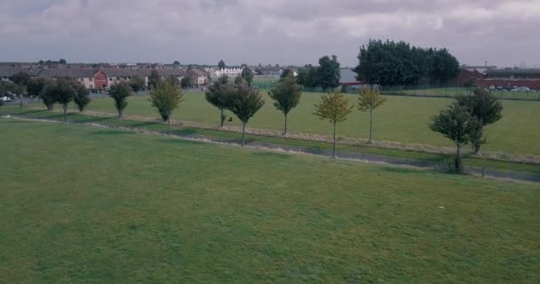 Vista Cinematográfica Las Aves Que Vuelan Parque Perfecto Para Cine — Vídeo de stock