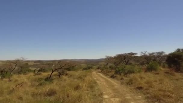Dirigindo Longo Uma Estrada Terra Através Uma Reserva Caça África — Vídeo de Stock