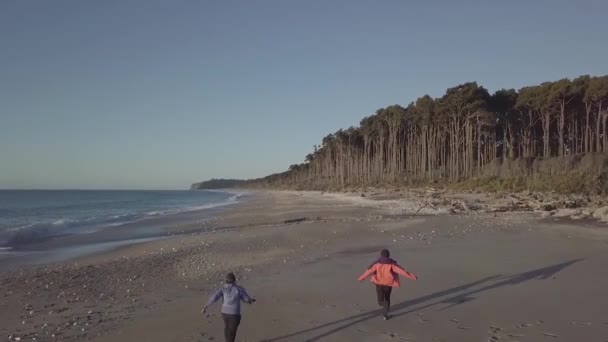 南ニュージーランドの周りを発見し 美しい場所を — ストック動画