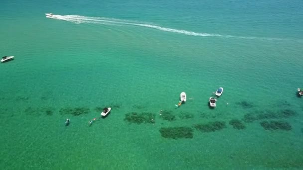 Colpo Aereo Tirando Giù Sopra Barche Sull Oceano Godendo Soffio — Video Stock