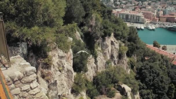 法国尼斯 鸟儿在俯瞰悬崖时飞翔 — 图库视频影像
