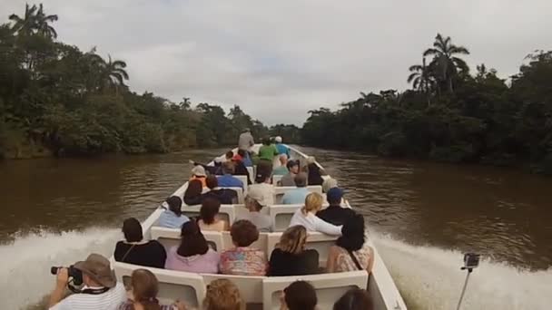 벨리즈의 강에서 관광객들 — 비디오