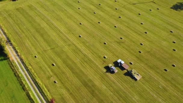 Vista Aérea Personas Cosechan Pacas Cuadradas Campo — Vídeo de stock