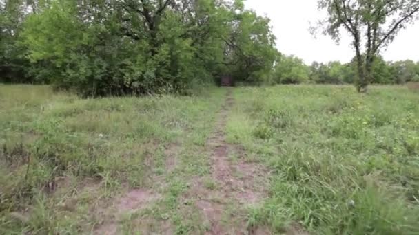 Camminando Una Radura Con Bersaglio Tiro Con Arco — Video Stock