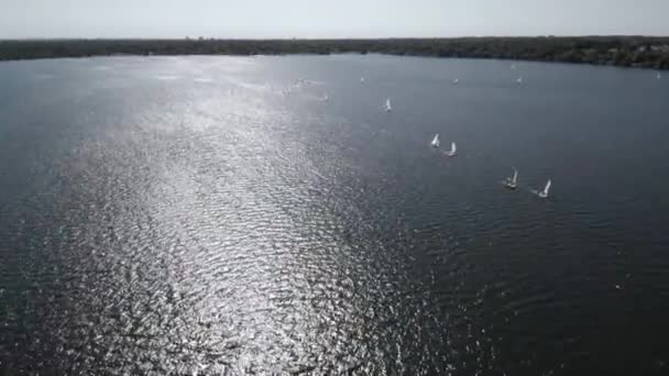 Aerial 미니애폴리스 미네소타주 호수에 범선의 아름다운 — 비디오