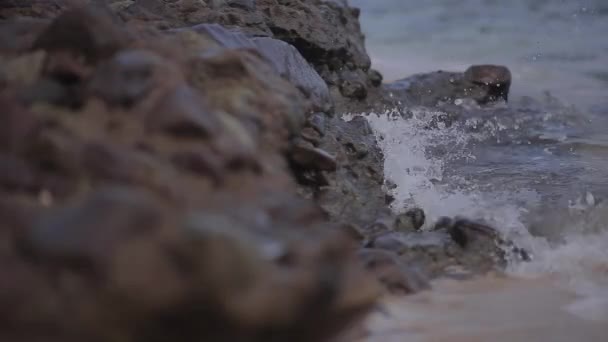 海滩和岩石 — 图库视频影像