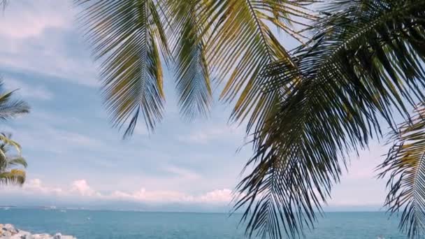 Egy Nagy Pálmafalevél Finom Serpenyője Keretezi Gyönyörű Óceáni Kilátást — Stock videók