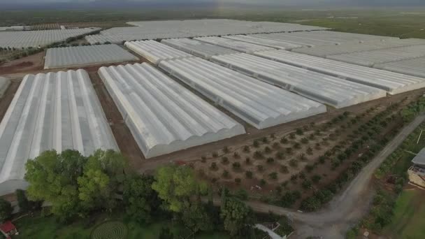 这是一个墨西哥景观的苗圃与各种蔬菜射击与Dji无人机 我们可以从空中看农业 — 图库视频影像