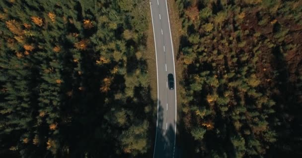 Aerial Top Shot Car Beautiful Nature Filmed Autumn Switzerland — Stock Video