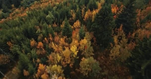 Luchtopname Van Een Kleurrijk Herfstlandschap Gefilmd Het Kanton Bern Zwitserland — Stockvideo