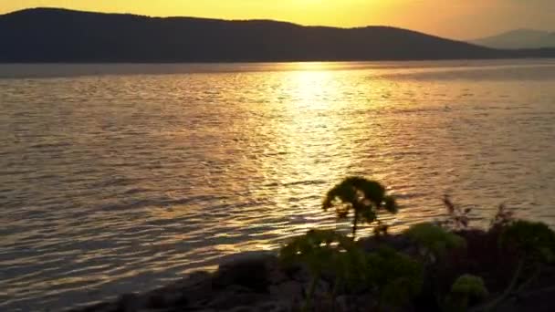 Чудовий Схід Сонця Острові Хорватії — стокове відео